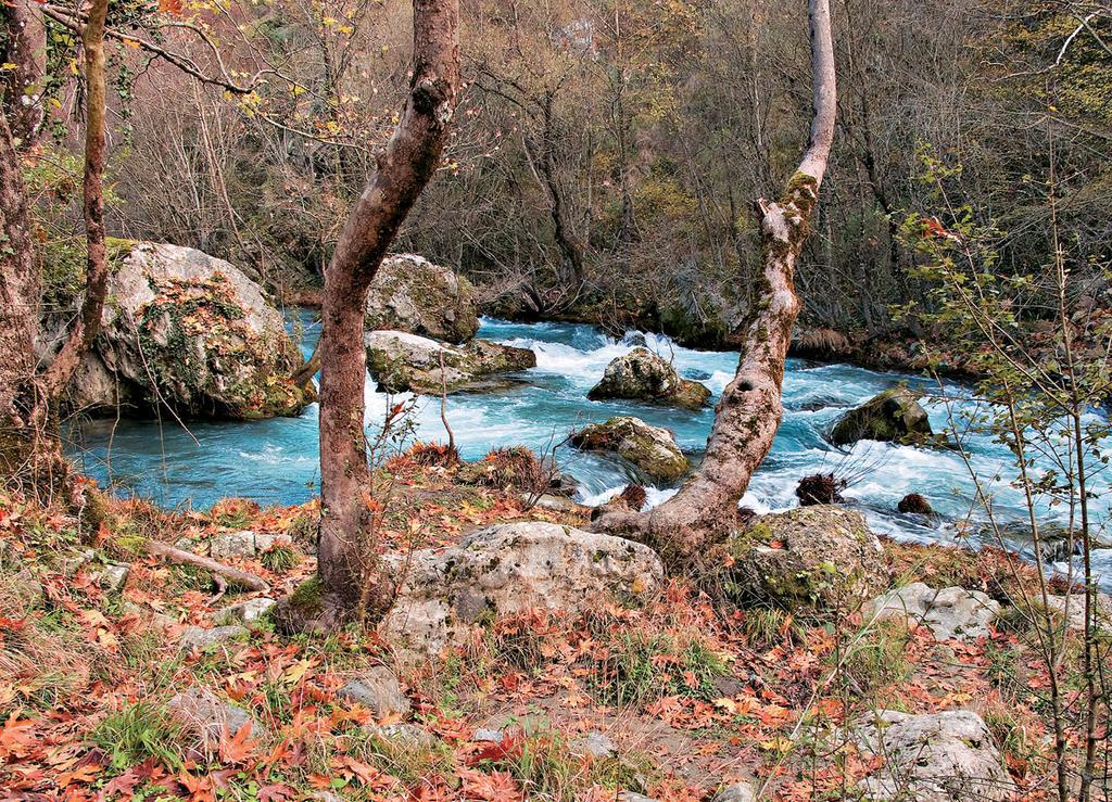 Diavatiko Affittacamere Stemnitsa Esterno foto